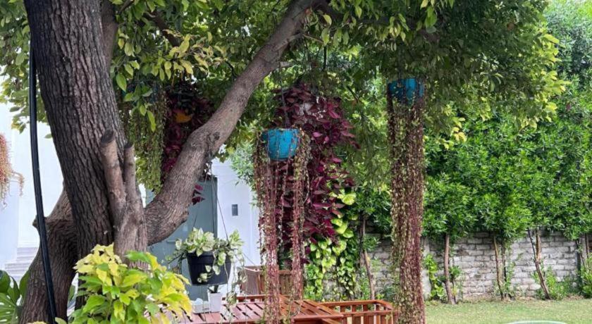 فندق كلوب دينوفو بوتوال المظهر الخارجي الصورة